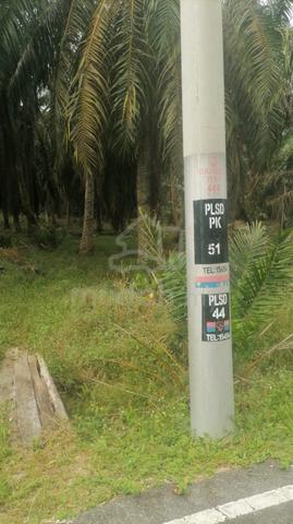 2.5 Ekar Tanah Kelapa Sawit Parit Lapis Semarang Batu Pahat Johor 1