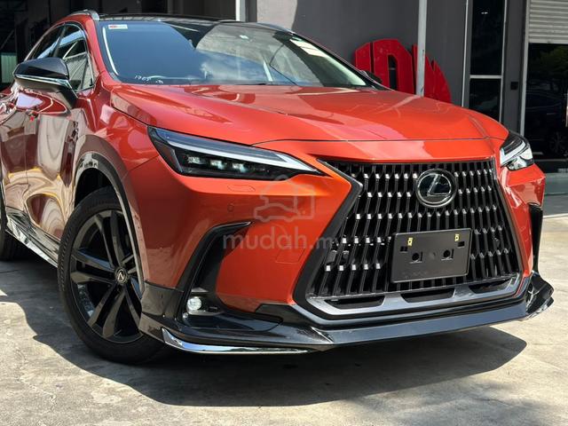 Lexus NX 250 Luxury Orange Color Rare In Market 1 - 1