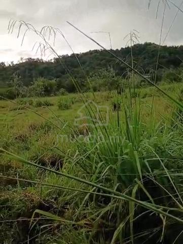 NT land @kg. Nohirot tamparuli 1