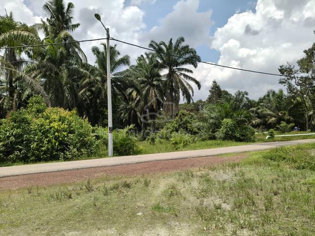 Lapisan Pertama, Kg Sri Menanti,Pagoh, Muar Johor 1