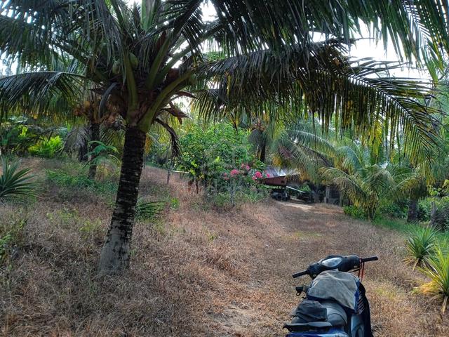 Tanah Kebun di Kg Tenang Labis 1