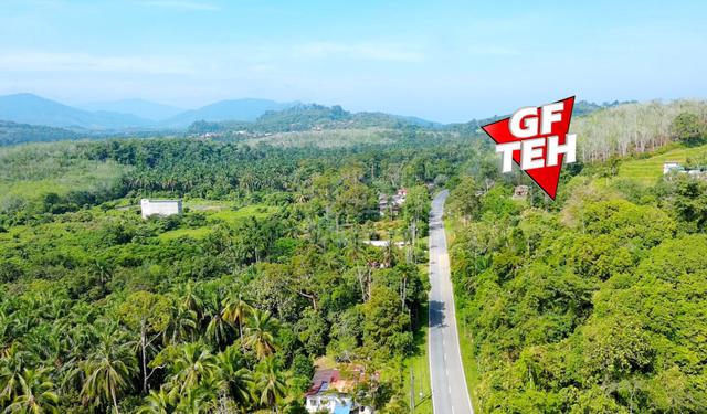 17.19 acre Agricultural Land | Pengkalan Hulu | Perak 1