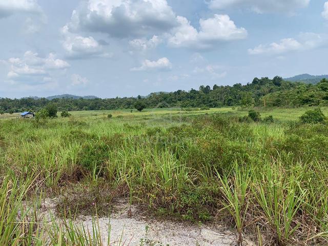 20 Acres Agricultural Land for Rent – Maran 1