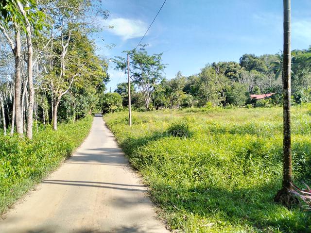 Tanah Nami Lama Padang Terap untuk tapak rumah,dusun,kebun atau Aset 3