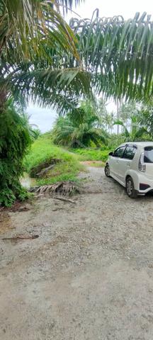 1 Ekar Malay Reserve Kelapa Sawit Pancang Bedena Sg Besar Sabak Benam 2