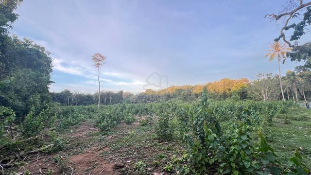 Tanah 2