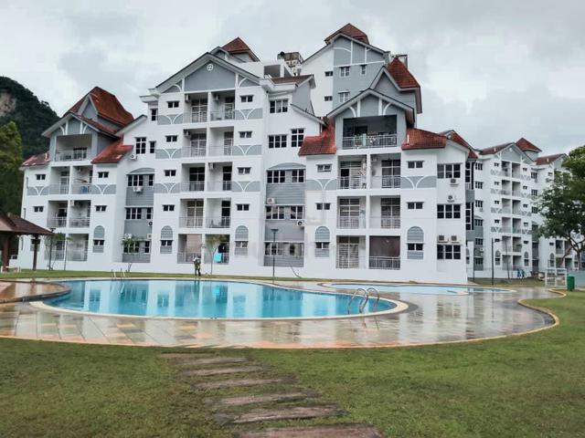 Alpine Village Apartment 1