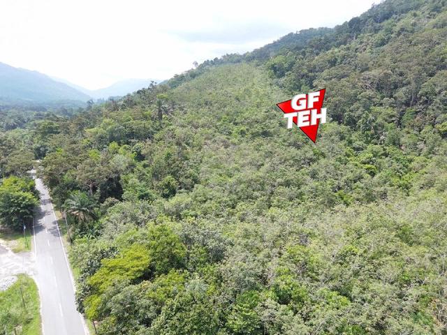 26.94 Acre Agricultural Land | Beside Mainroad | Selama | Perak b 1