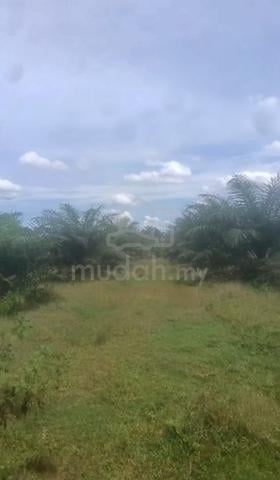 Tanah Bandar Baharu-Kulim 1