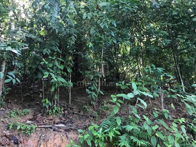 Tanah Kosong Agriculture 5.56 ekar Kg Bt9 Kuala Lipis Freehold 1