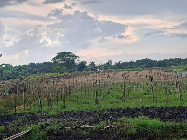 KLANG JOHAN SETIA, 1 Acre Flat Land for Sale 🎈 Beside Reserve Roa 2