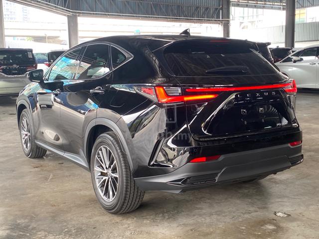 2023 Lexus NX250 2.5 LUXURY (A) - 3