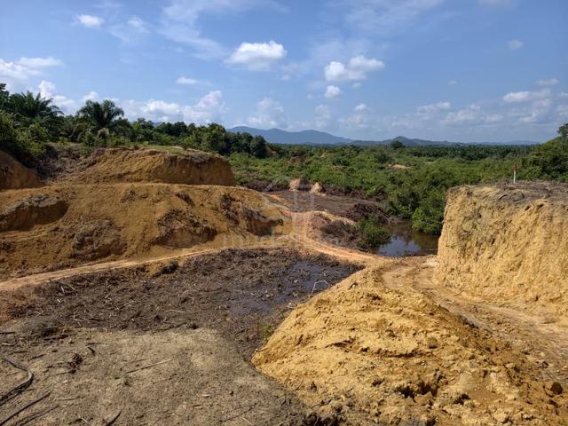 Tanah pertanian untuk dijual. 1