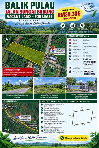 Balik Pulau Jalan Sungai Burung Vacant Land – For Lease 1