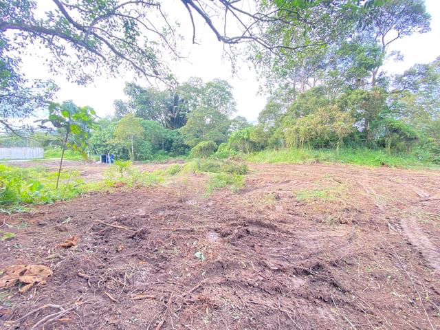 Tanah Pertanian dgn Lot  Banglo, Hulu Langat Belakang IKBN utk disewa 5