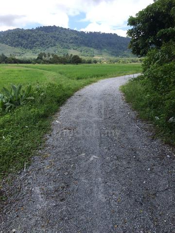 Tanah Sawah 1 Ekar  Untuk DiJual Di Langkawi - GERAN INDIVIDU 1