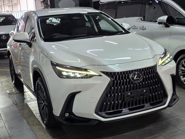 2023 Lexus NX250 2.5 BASE GRADE (A) - 2