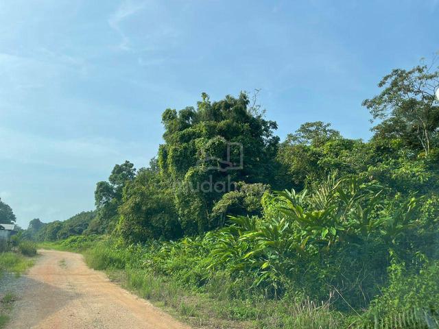 tanah pertanian jalan segamat -kuantan 1