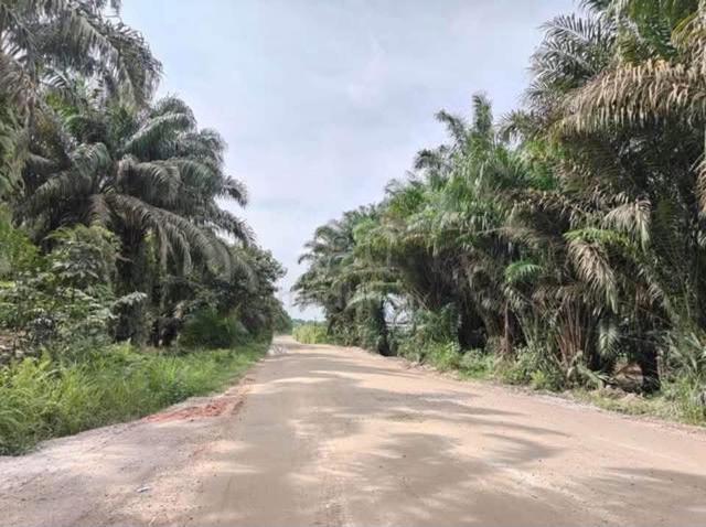Ulu Choh Agricultural Land For Sale 1