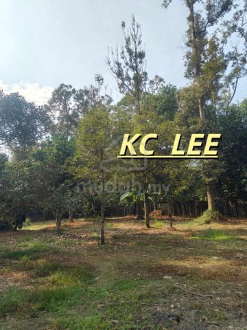 1.48 Acre Durian & Cempedak Garden Flat Land For Sale @ Karangan,Kedah 1
