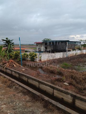 Tanah Sawah Untuk Dijual 1