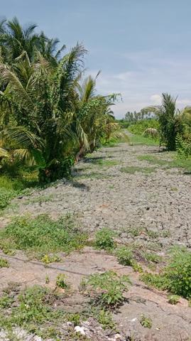 [BMV] 1st Grade Freehold Flat Land Sungai Rusa Balik Pulau Cheap Sell 1