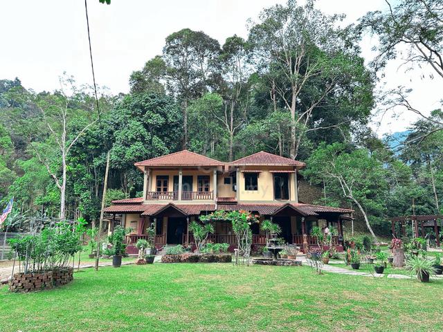 Tanah Janda Baik luas dengan rumah banglo 1