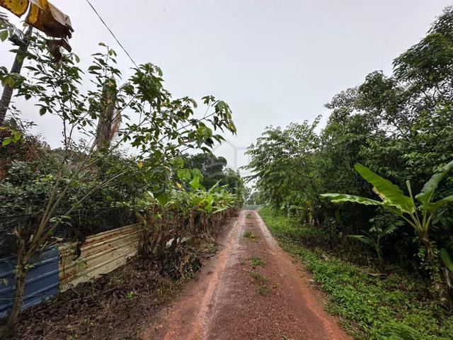 1.65 Acres Freehold Agriculture Land Rembia Alor Gajah 1
