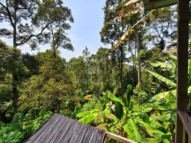 kebun durian di bukit kemuning kijal (2 ekar) 1