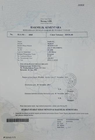 Tanah Kebun Getah di Maran utk Dijual 1