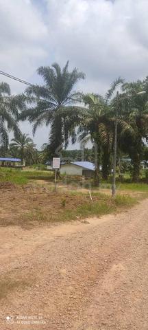 ↔️INTERNATIONAL LAND FOR SALE | PALOH Kluang 5