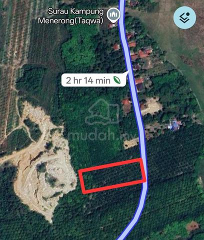 Tanah Kebun Sawit Bukit Lemoh Pokok Sena 1