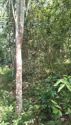 Tanah untuk dijual di kepis kuala pilah,negeri sembilan 1