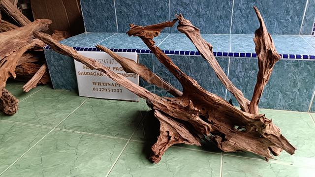 Driftwood for aquascape tank 2.5-3ft - photo 5 of 6