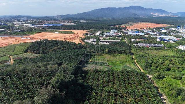2.8 Acres Agriculture Zoning Industrial Land Kulai Batu 28, Johor 1