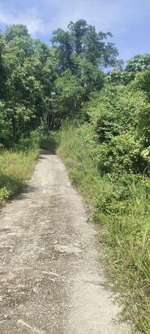 Tanah kebun di Kampung Parit Tinggi, Kuala Pilah UITM Geran Individu 2