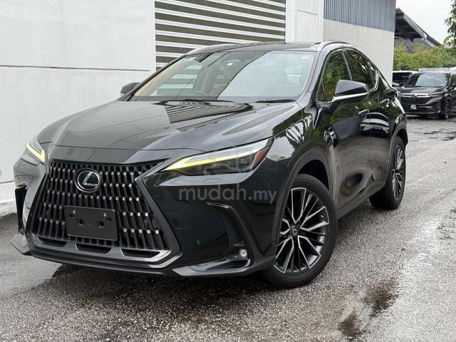 2023 Lexus NX 250 2.5 LUXURY PANROOF/NEGO TIL LET - 1