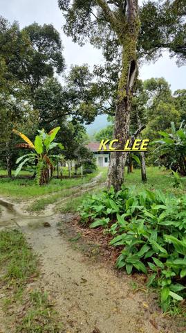 2.3 Acres Residential Land @ Balik Pulau,Penang 4