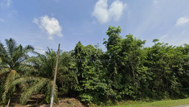 Pekan Nanas 88.28 acre Industrial Land Freehold Rm46 psf Pontian 1
