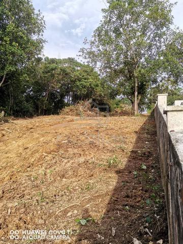 Tanah bukit untuk disewa 1