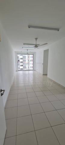 D Cassia 1