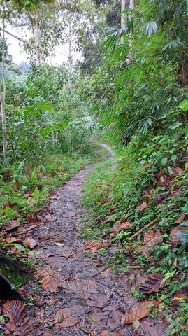 Tanah Janda Baik Subur (1.912 ekar) 1