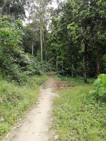 Tanah Dusun atas bukit di Cherok Tokun 3
