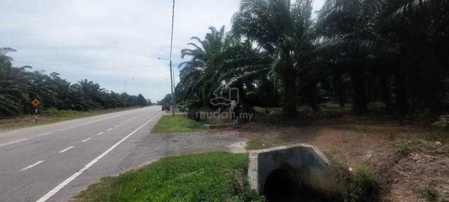 Main Road Pontian Serkat Kukup Int Lot Free Hold 44K sqft Agro Land 1