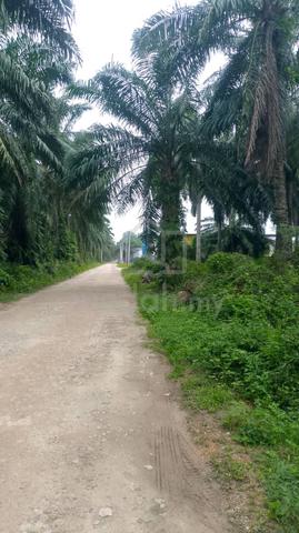Tanah Pertanian Zoning Industri Jeram Kuala Selanor 1