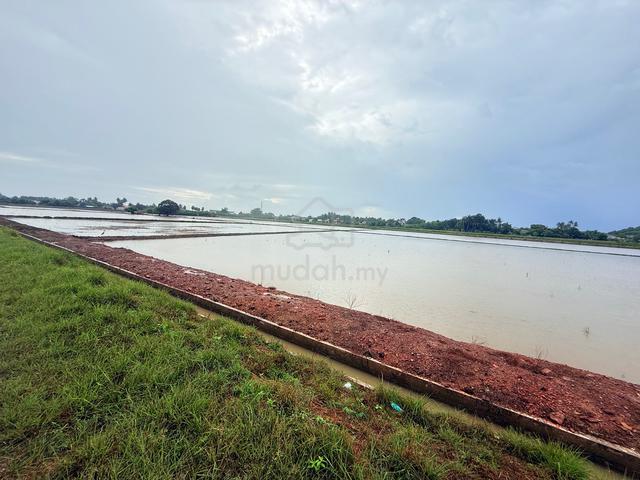 Tanah sawah Pajak Song, Kepala Batas [Bawah Pasaran] 1
