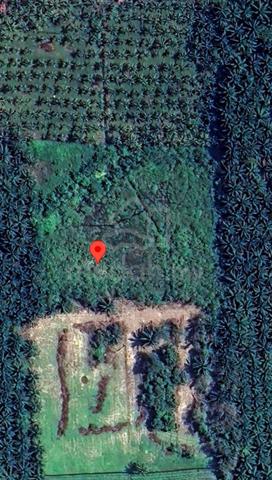 3.1 Acre Agricultural Land Manjung Perak 1