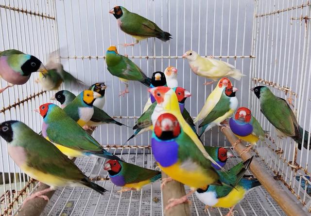 Carousel Image