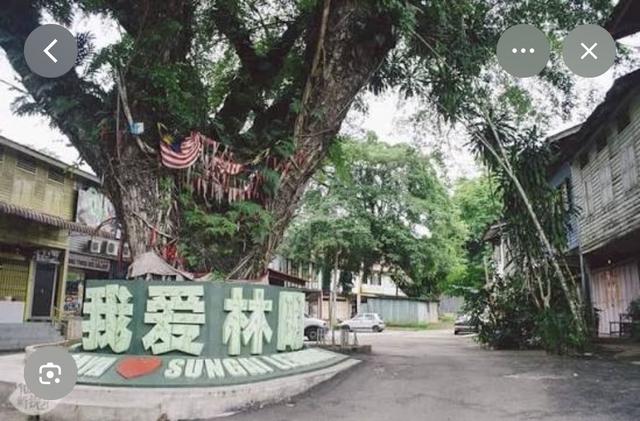 shop house for sale in sungai Lembing 1