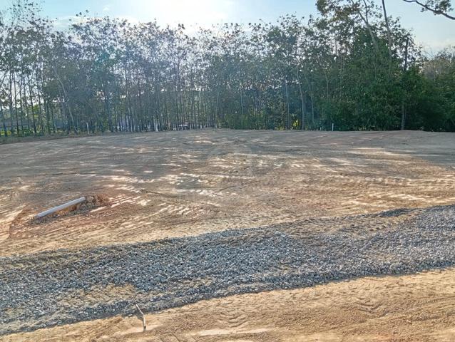2 PLot Banglo Fhold Non Bumi Pertanian area Bemban Melaka 1